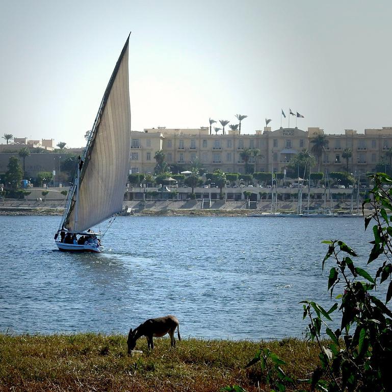 Villa Diletta Luxor Exterior photo