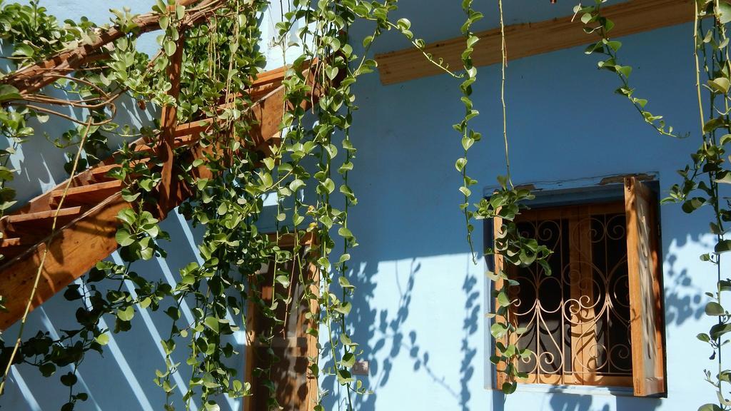 Villa Diletta Luxor Exterior photo