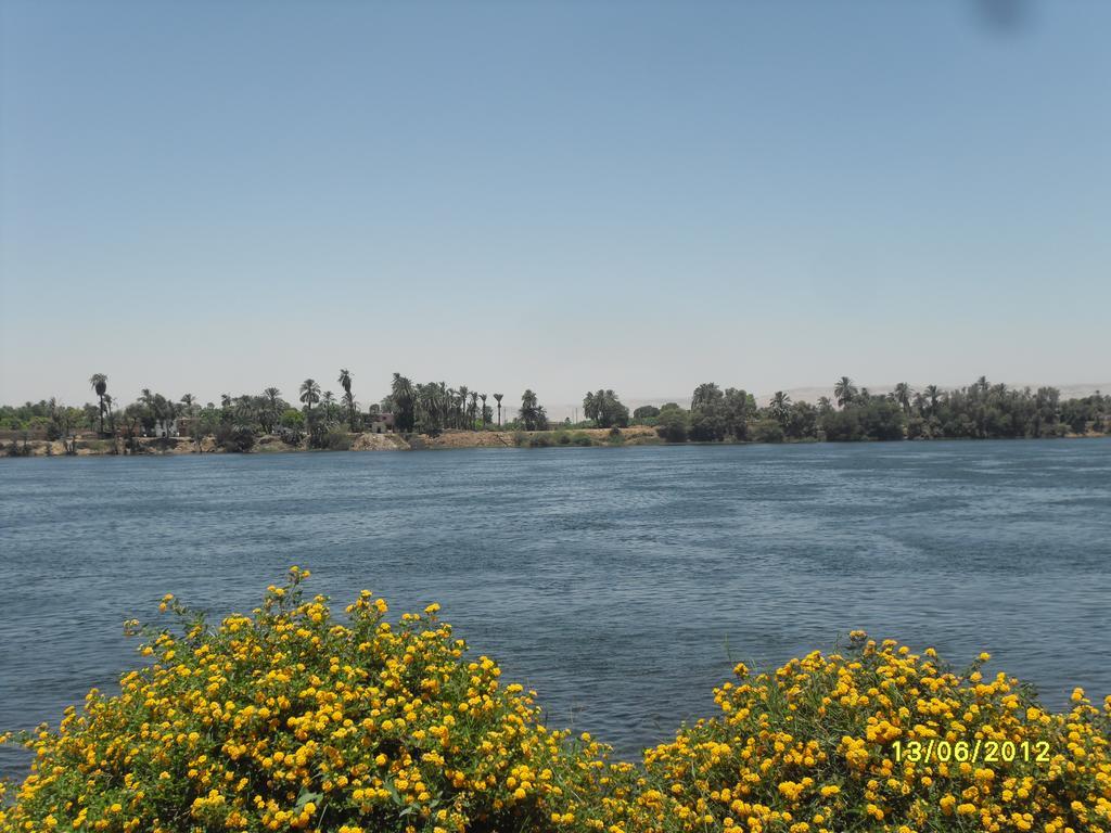 Villa Diletta Luxor Exterior photo